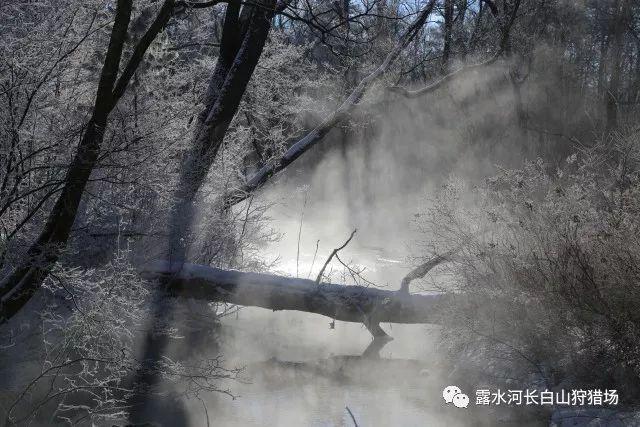 埃琳娜房间清洁