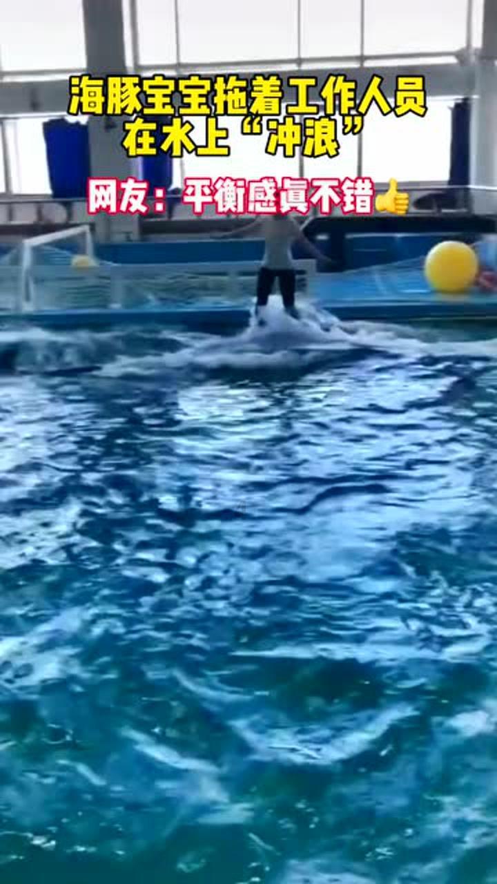 “生活已变成一场噩梦”，以色列的海法市为何会野猪泛滥成灾？