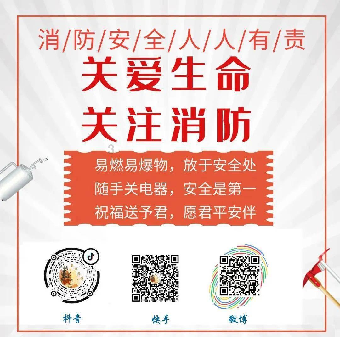 侍忍者