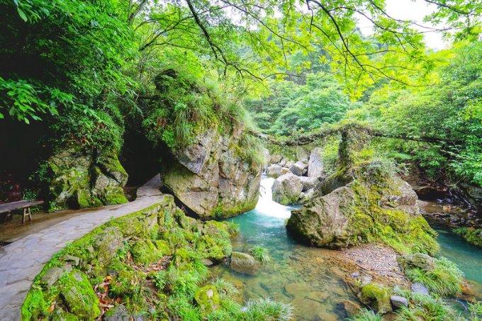 黄金AK闯迷宫